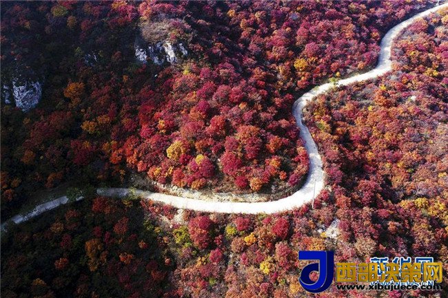 1509066970958575.jpg 5.jpg