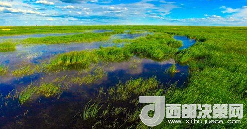 呼倫湖濕地。吳勇攝
