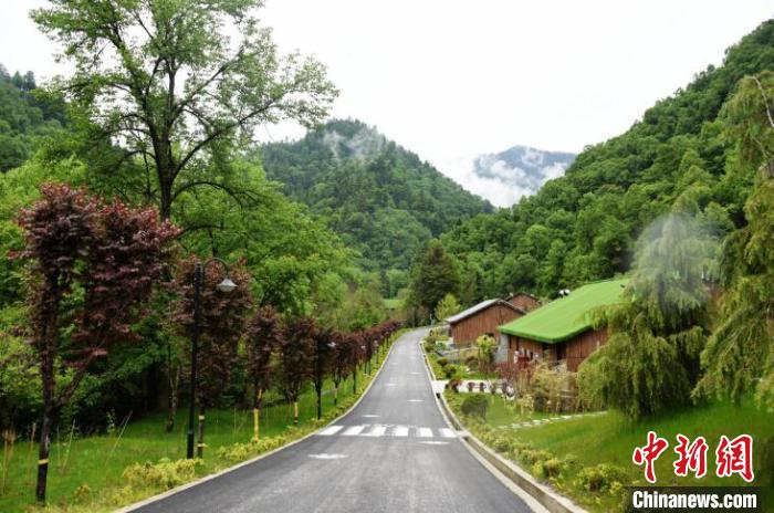九寨溝熊貓園外景?！【耪瘻峡h委宣傳部提供 攝