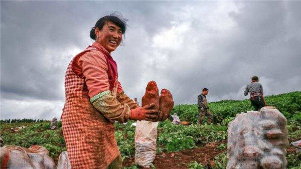 點擊進(jìn)入下一頁