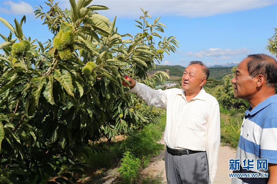 （新華全媒頭條·走向我們的小康生活·圖文互動）（11）長城腳下，小康村串成“珍珠鏈”