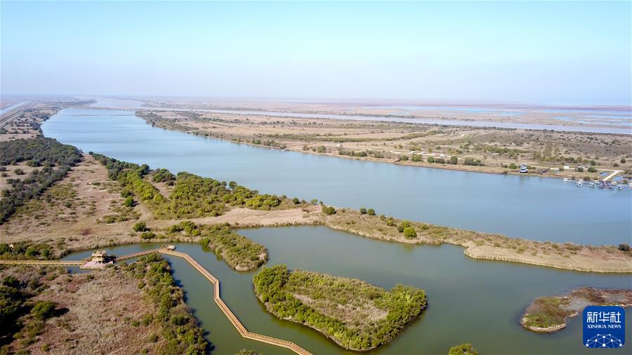 (新華全媒頭條·圖文互動)(4)鯤鵬展翅九萬里——以習近平同志為核心的黨中央引領中華民族邁向偉大復興述評