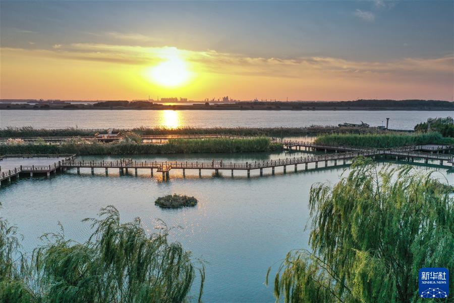 (新華全媒頭條·圖文互動)(5)鯤鵬展翅九萬里——以習近平同志為核心的黨中央引領中華民族邁向偉大復興述評