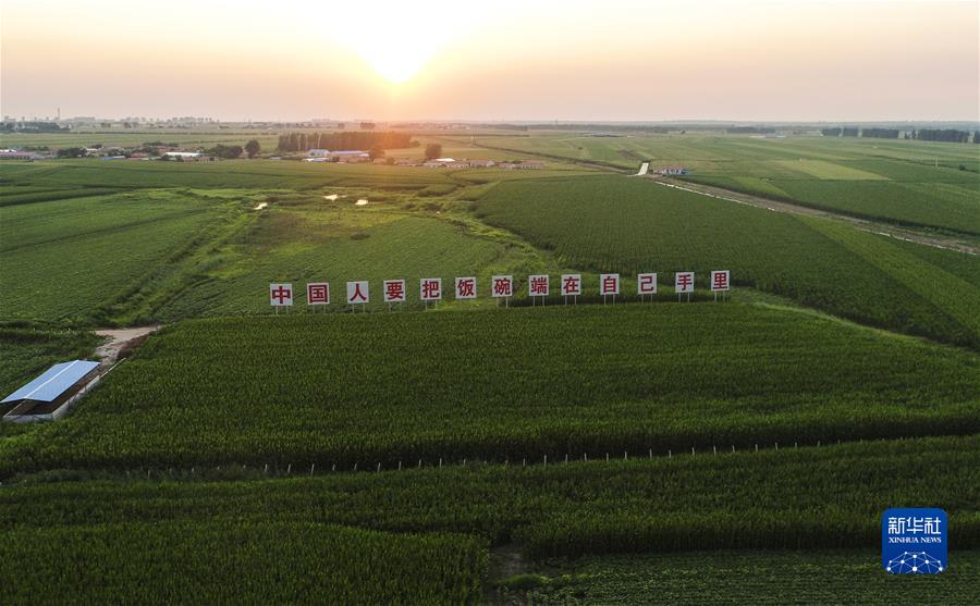 (新華全媒頭條·圖文互動)(7)習(xí)近平關(guān)心關(guān)懷勞動者的故事